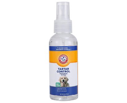 The Best Dog Dental Spray in 2022 | Pet Side