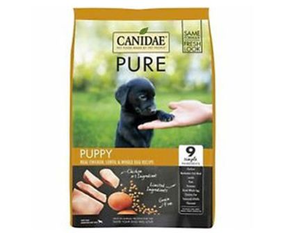 best grain free dog food for cocker spaniels