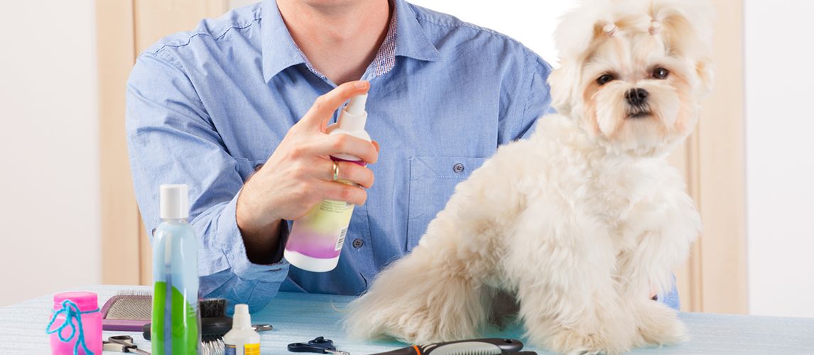 The Best Dry Shampoos For Dogs in 2022 | Pet Side