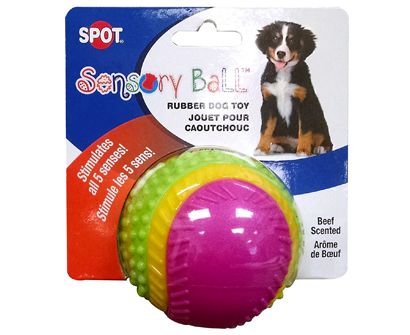 Best Toys for Blind Dogs: Scented Toys