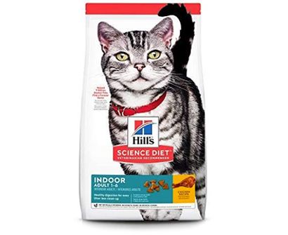 best dry food for bengal kittens