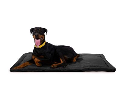 The Best Indestructible Dog Beds In 2022 | Pet Side