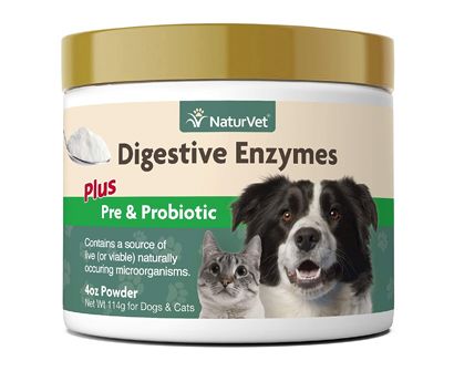 The Best Probiotics for Cats in 2022 | Pet Side