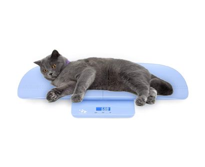Adamson A50 Pet and Baby Scale - New 2023 - Digital Pet Scale for Cats Dogs Rabbits Puppies Adults - Small Animal Scale - Great for Newborn