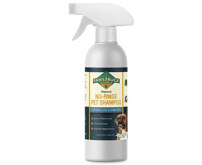 The Best Dry Shampoos For Dogs in 2022 | Pet Side