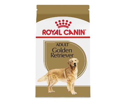 what is the best dog food for a golden retriever