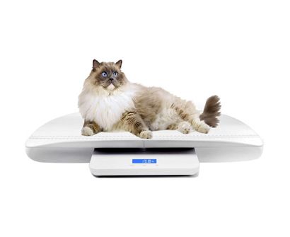 TOOL1SHOoo Digital Pet Scale Small Dog Cat Animal Vet Scale Weight  Veterinary Diet Healthy LCD Display 