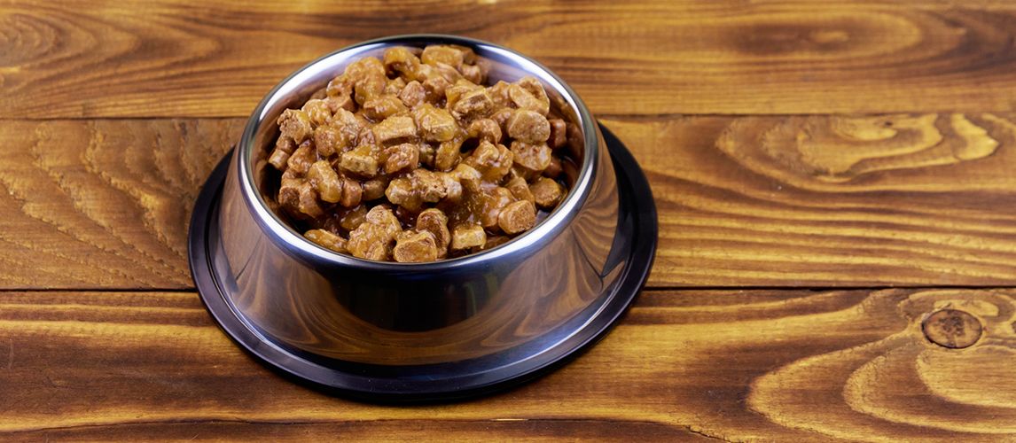 is it ok to heat up wet dog food