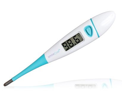 what kind of thermometer is best for dogs