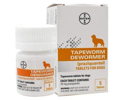 The Best Dewormers For Dogs In 2022 Pet Side   Bayer Tapeworm Dewormer For Dogs 