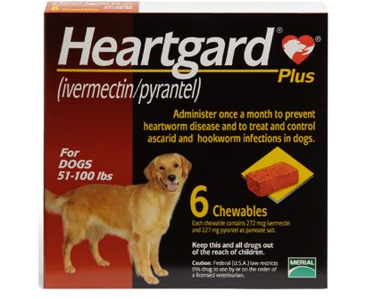 The Best Heartworm Medicine For Dogs In 2022 Pet Side   Heartguard Plus Chewables For Dogs 