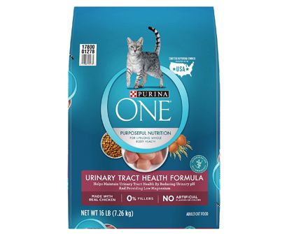 The Best Cat Food For Urinary Tract Health in 2022 | Pet Side