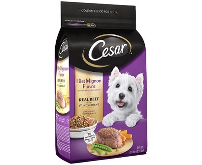 The Best Dog Food for Corgis in 2022 | Pet Side