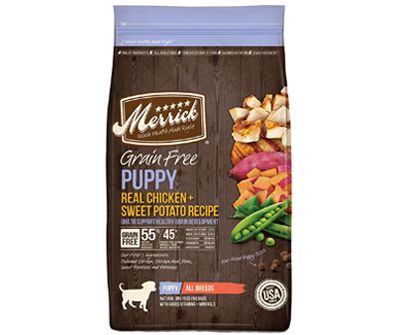 what is the best dog food for jack russell terrier