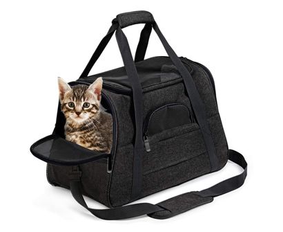 The Best Airline Approved Pet Carriers In 2022 | Pet Side