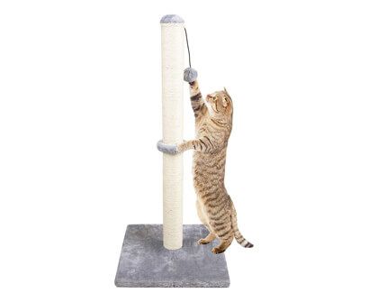 Cat Scratching Post 25.6 Inches High Cactus Cat Scratcher Large Cat Scratching Poles Great for Kittens and Adult Cat Green 