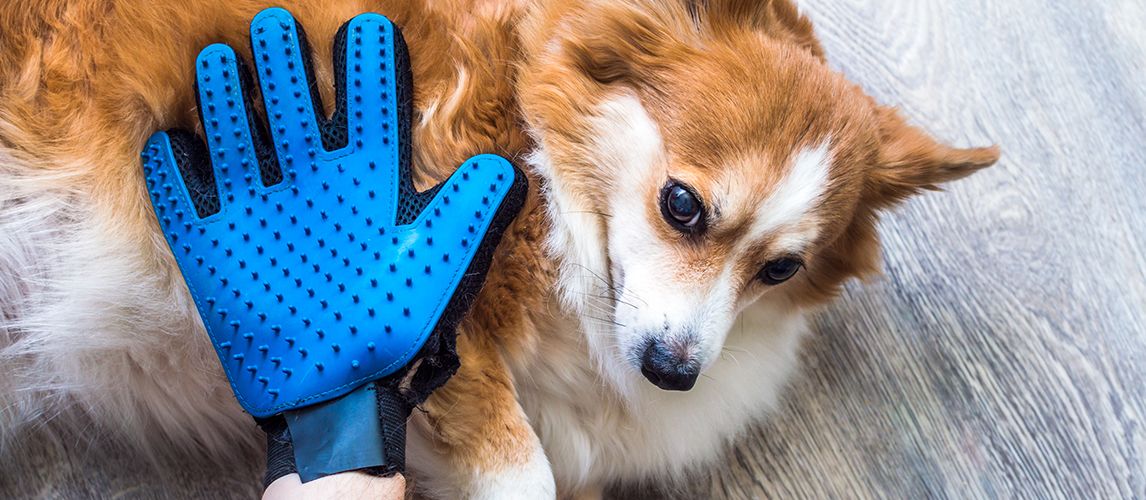 ToToDog Upgrade Version Pet Grooming Glove - Gentle Deshedding Brush Glove - Efficient Pet Hair Remover Mitt - Perfect for Dogs, Cats&Horses with Long & Short Fur ncludes 1 Glove 