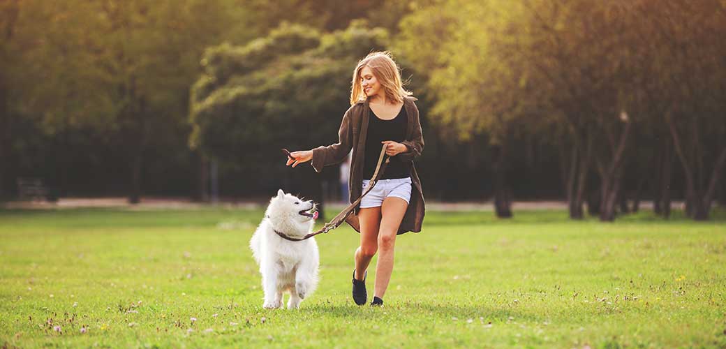 Mooi meisje spelend en rennend met samojeed hond bij het park buiten
